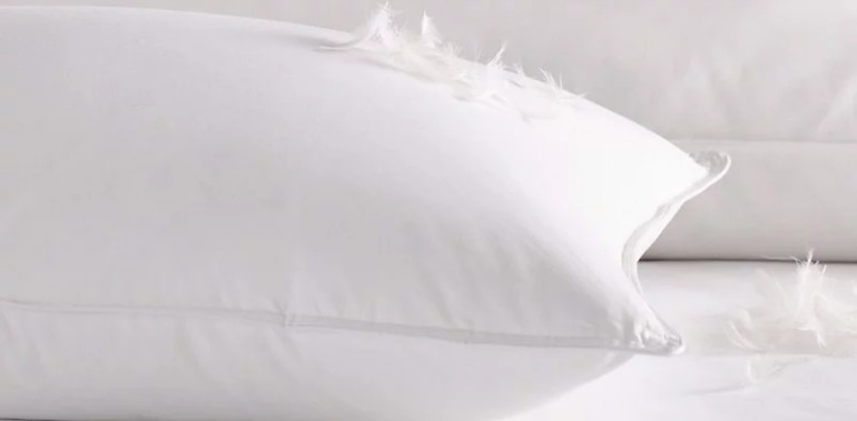 Đặc tính của gối lông ngỗng