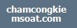 chamcongkiemsoat.com