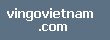 vingovietnam.com