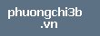 phuongchi3b.vn