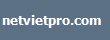 netvietpro.com