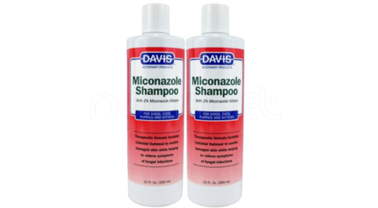 Davis Miconazole Shampoo shower gel treats fungus for dogs and cats