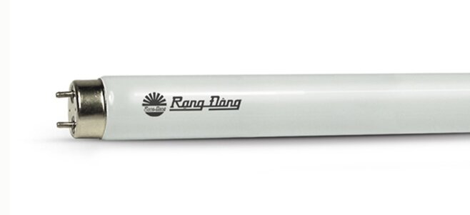 đèn led rạng đông