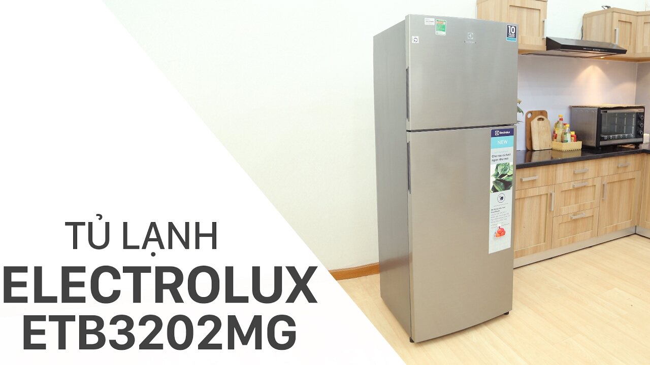 Có nên mua tủ lạnh Electrolux? Bạn có thể tham khảo dòng tủ lạnh Electrolux 321 lít ETB3202MG
