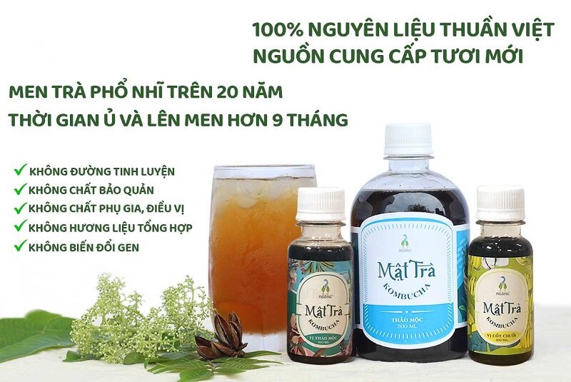 Nước uống Kombucha Mật Trà