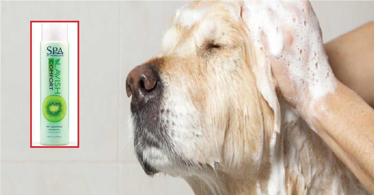 Review of Tropiclean dog shampoo: fragrance retention and UV protection 'easy'