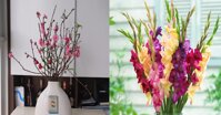 10 loài hoa nên và không nên dùng để chưng bàn thờ ngày Tết