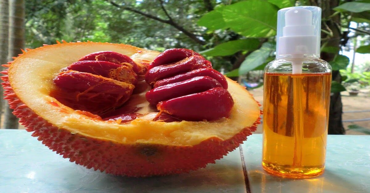 11 tác dụng của dầu gấc đối với trẻ em và phái đẹp