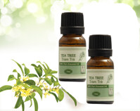 15 tác dụng tinh dầu tràm trà dành riêng cho sức khỏe sắc đẹp nữ giới