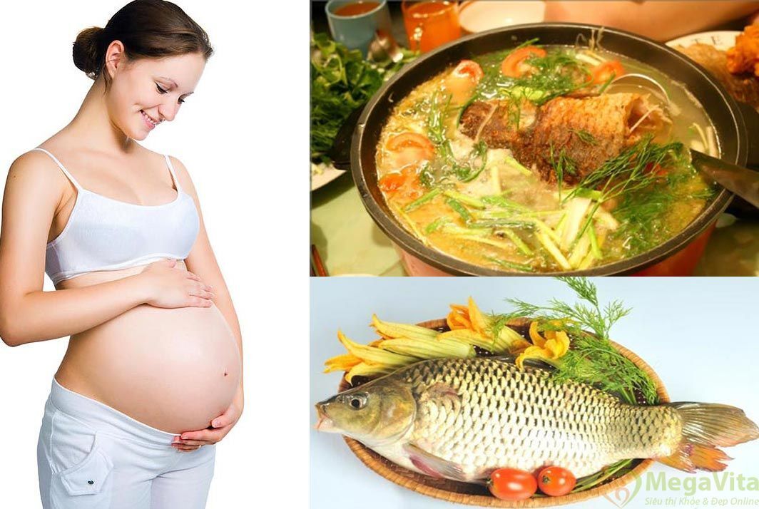19 thực phẩm giàu DHA cho bà bầu an thai khỏe mạnh phòng chống dị tật