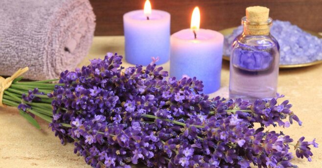 Nến thơm Lavender mang hương thơm ngây ngất của loài hoa tím xinh đẹp