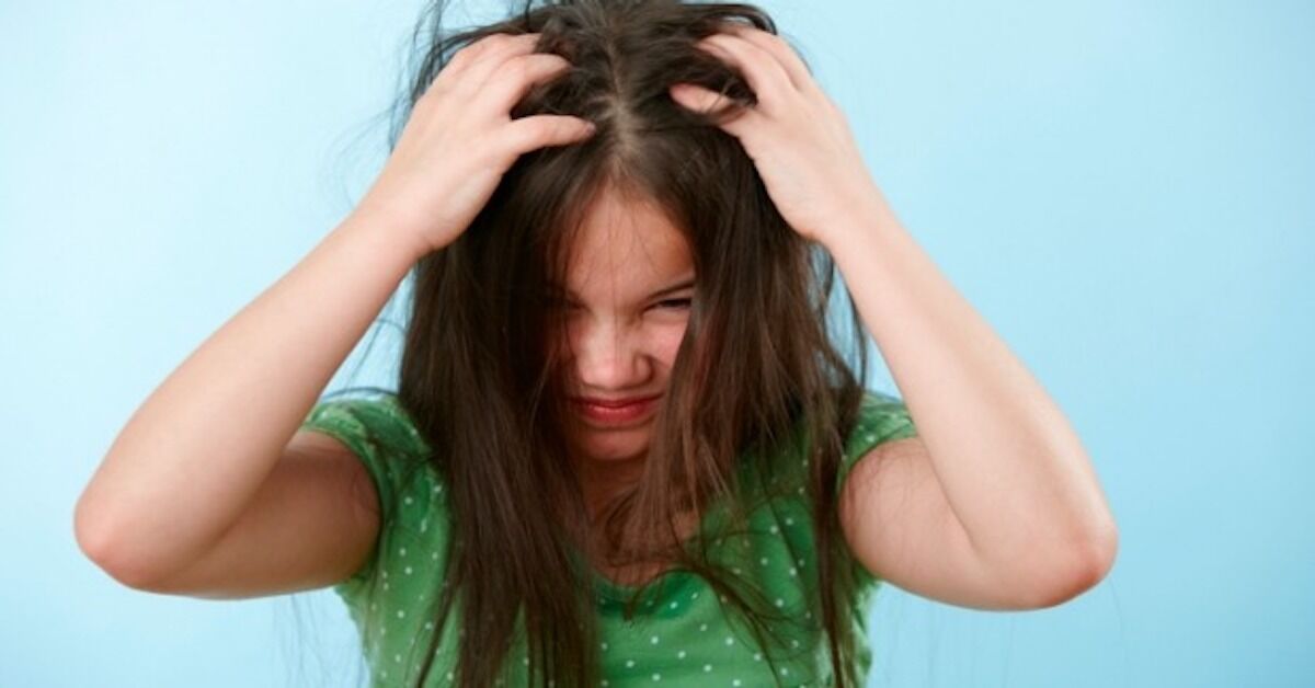 2 loại dầu gội trị chấy hiệu quả và an toàn bạn nên thử