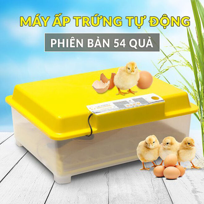 máy ấp trứng gà ánh dương a100