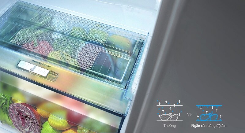 Tủ lạnh có khả năng cân bằng độ ẩm tốt