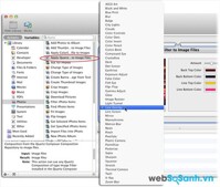 3 cách dễ dàng để chỉnh sửa một bức ảnh màu