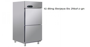 3 điều cần biết về tủ đông Berjaya Bs 2fduf-z-gn