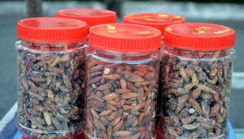 3 loại hạt khô "nửa triệu 1 kg" đang được "săn lùng" Tết 2016