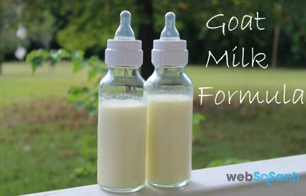 3 loại sữa công thức từ sữa dê cho bé từ 0 đến 6 tháng tuổi