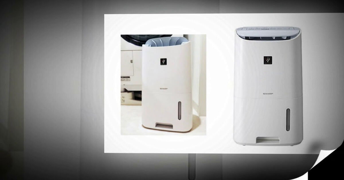 3 lựa chọn máy hút ẩm không khí tốt nhất của Sharp ở thời điểm này