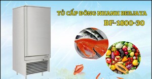 3 lý do bạn nên sở hữu tủ cấp đông nhanh 11 khay Berjaya Bf-1800-30
