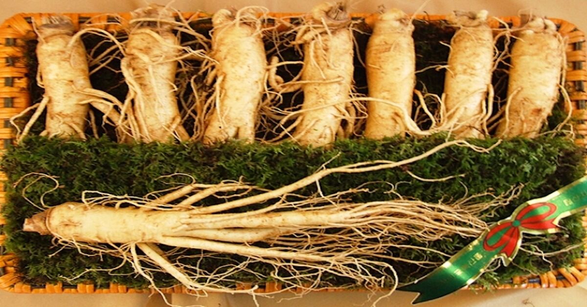 3 thương hiệu nhân sâm Hàn Quốc nổi tiếng chất lượng