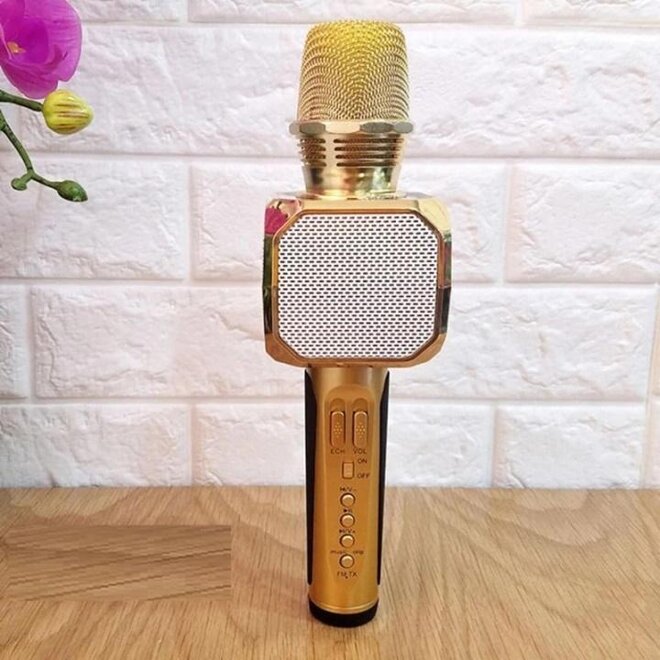 Micro kèm loa bluetooth karaoke SD-10 siêu trầm