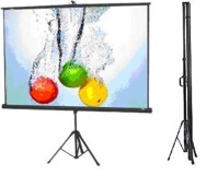 4 loại màn chiếu thông dụng nhất cho nhu cầu giải trí và công việc