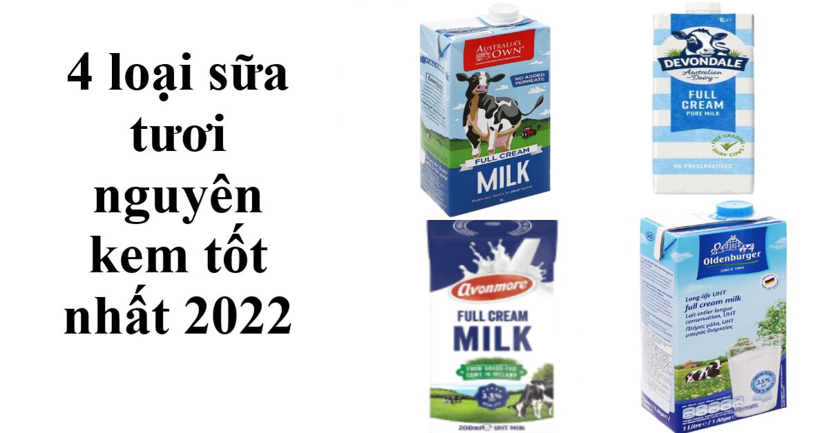 4 loại sữa tươi nguyên kem tốt nhất 2022