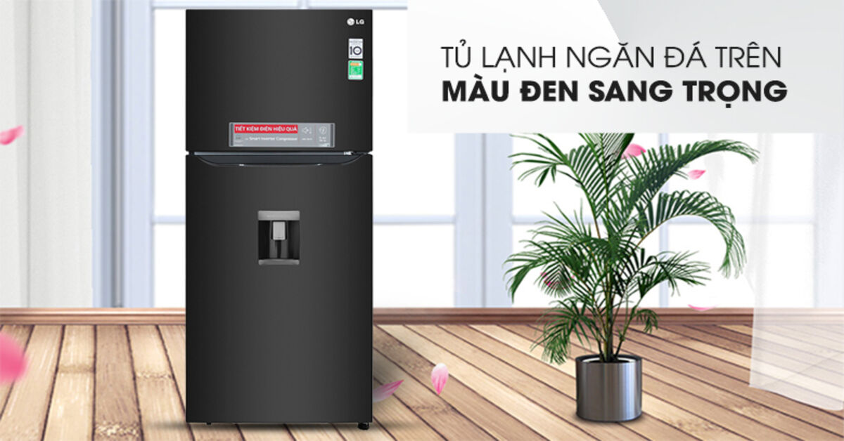 4 lý do nên sắm tủ lạnh LG Inverter 393 Lít GN-D422BL cho gia đình ít người