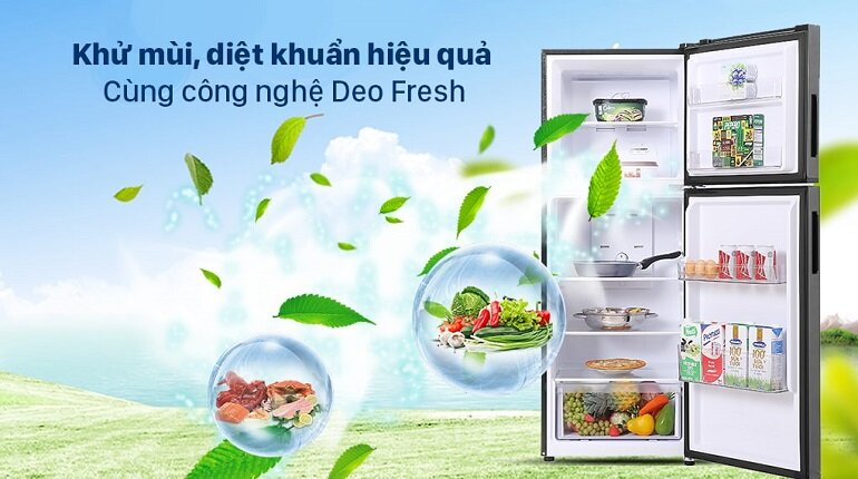 Tủ lạnh Electrolux 230 lít