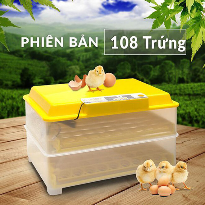 máy ấp trứng gà ánh dương a100