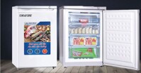 5 điều cần biết trước khi mua tủ đông Hòa Phát 300SR1