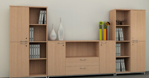 5 mẫu tủ tài liệu thấp Hòa Phát được ưa chuộng nhất