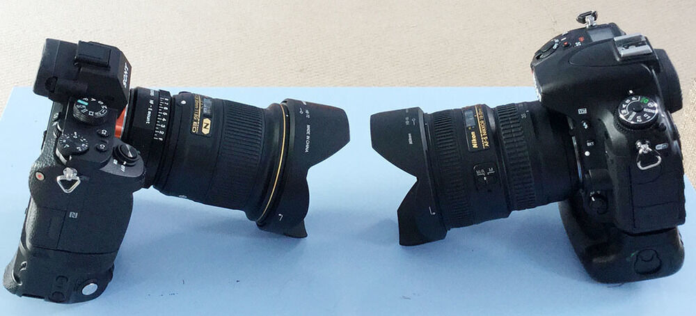 5 tiêu chí so sánh Sony A7 Mark II và Nikon D750 máy nào chụp nét hơn