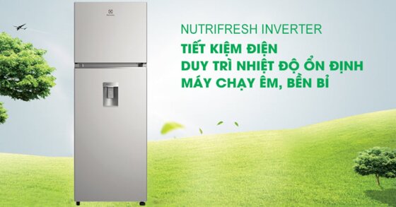 5 ưu điểm đầy ấn tượng của tủ lạnh Electrolux Inverter 312L ETB3440K-A bạn nên biết trước khi chọn mua