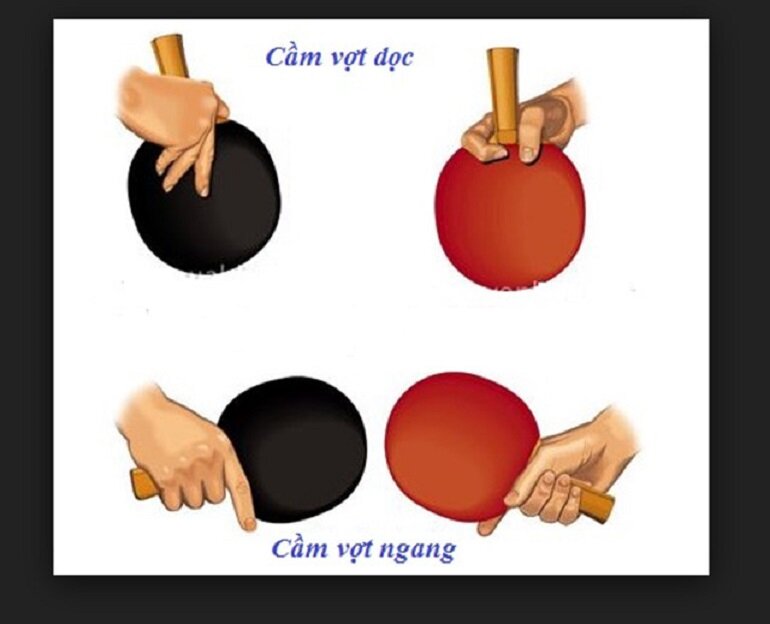 Hướng dẫn cách cách cầm vợt bóng bàn ngang và dọc chuẩn