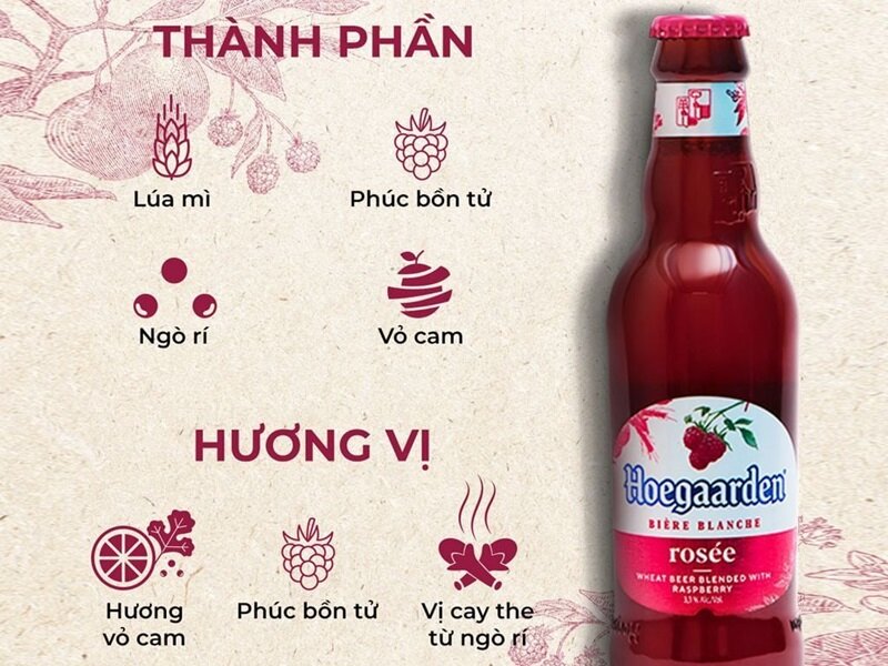 Gợi ý 6 vị bia Hoegaarden nhập khẩu Bỉ làm quà Tết 2025 rất sang trọng và chất lượng