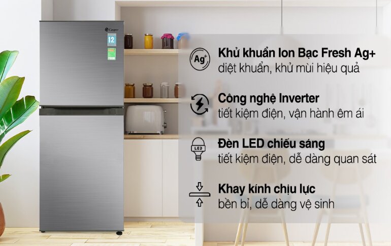 Tủ lạnh Casper có kiểu dáng sang trọng và đa dạng về mẫu mã