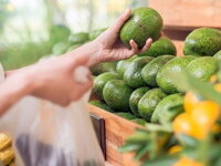 6 cách chọn quả bơ ngon không bị đắng và nhận biết bơ chín hay già
