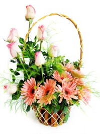 6 loài hoa ý nghĩa nhất dành tặng thầy cô nhân ngày 20/11