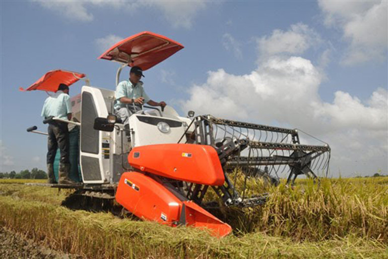 nên mua máy gặt đập liên hợp nào để đi cắt lúa thuê