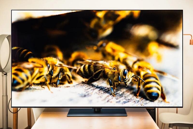 Tivi LG 55G4PSA – Giảm