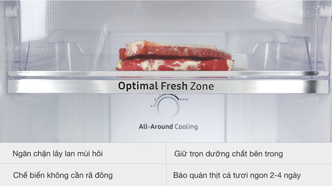 Ngăn đông mềm ứng dụng công nghệ Optimal Fresh Zone