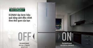 7 điều thú vị về tủ lạnh Panasonic NR-BX418GWVN 407 lít có thể bạn chưa biết