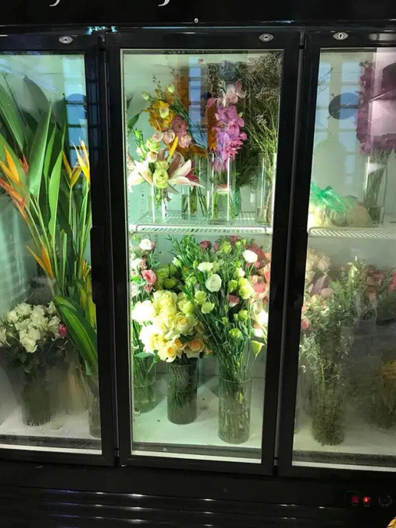 Cách bảo quản hoa trong tủ mát