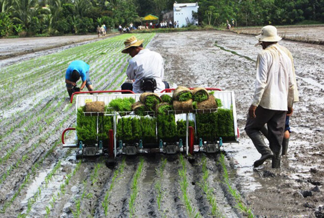 máy cấy lúa hamco