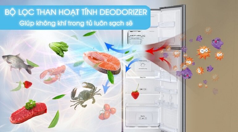 Tủ lạnh Samsung RT25M4033S8/SV 256 lít