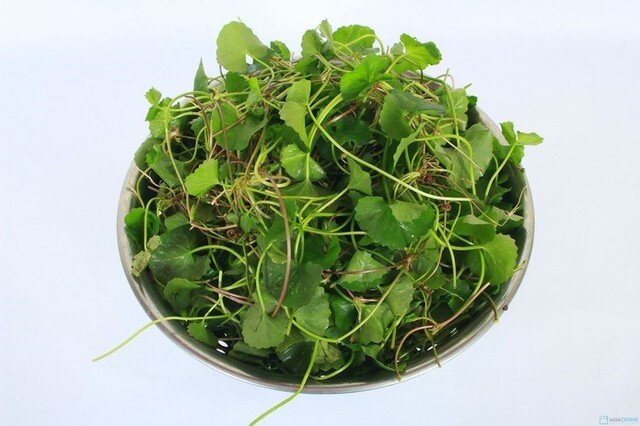 9 loại rau củ đặc biệt tốt cho da vào mùa hè