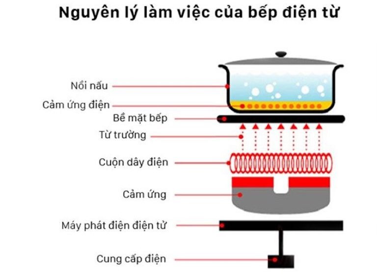 Nguyên lý bếp từ hoạt động chính là dùng dòng Fuco để làm nóng trực tiếp cho xoong, nồi.