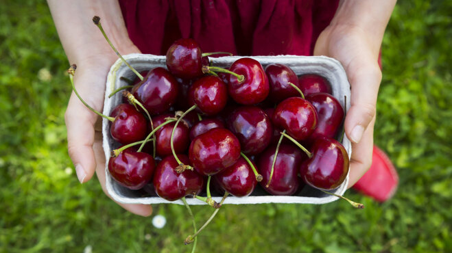 Quả cherry giá bao nhiêu